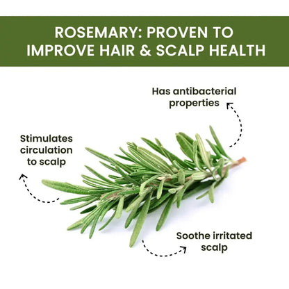 Rosemary Water Spray | For Hair Regrowth (Buy 1 Get 2 Free 馃槏)